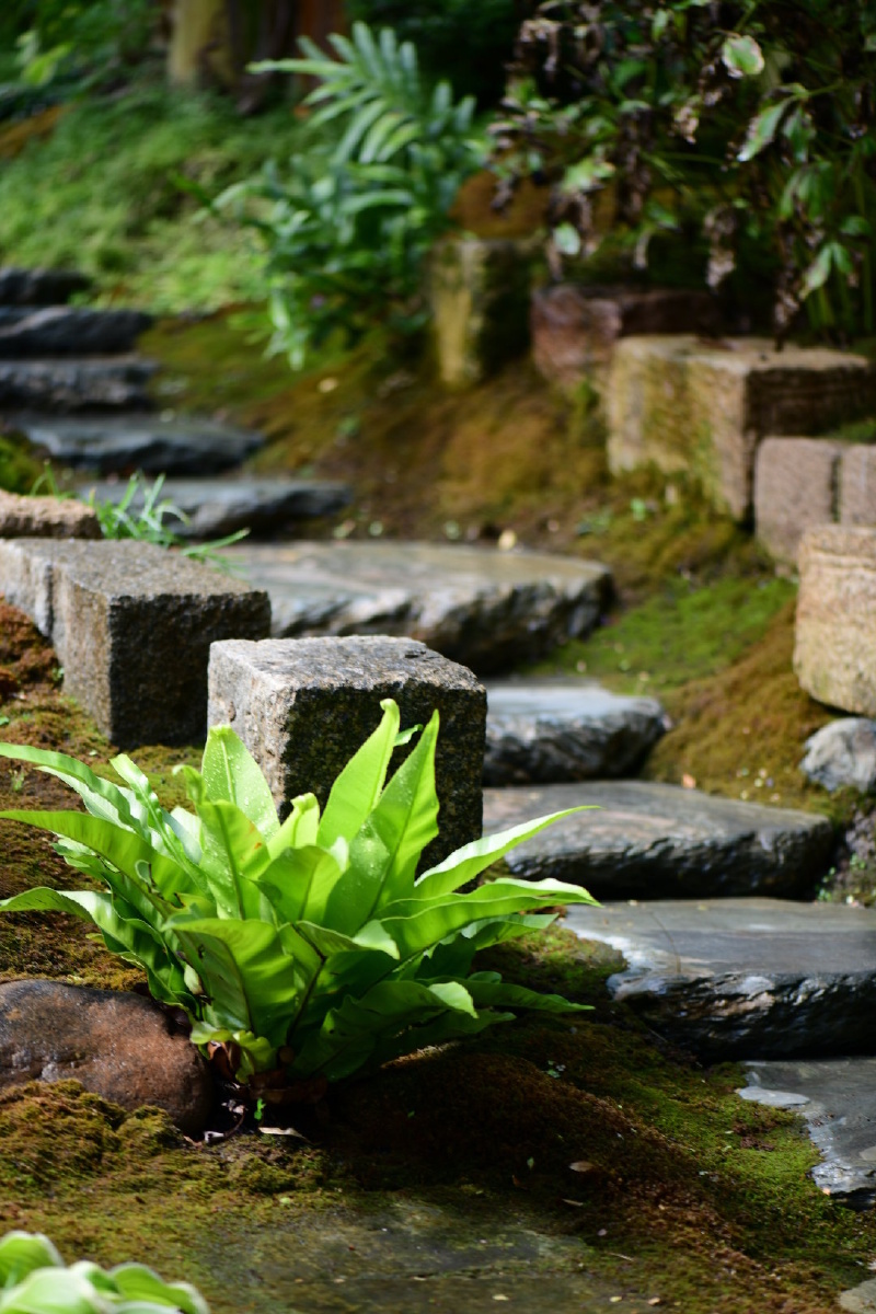 意境- 摄影师misy