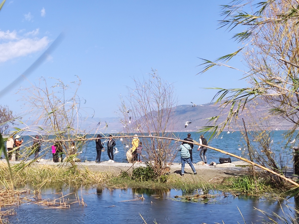 大理洱海生态长廊