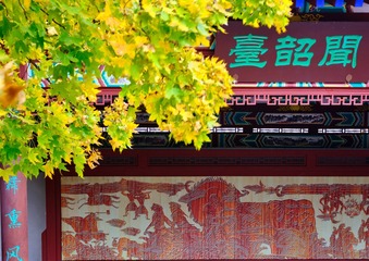 A481E1FF-B00D-4F56-9502-AB63904F8EA8/L0/001