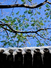 66F09840-FB55-4467-B145-2356C6C0DAF8/L0/001