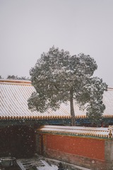 TYY07532-Pano