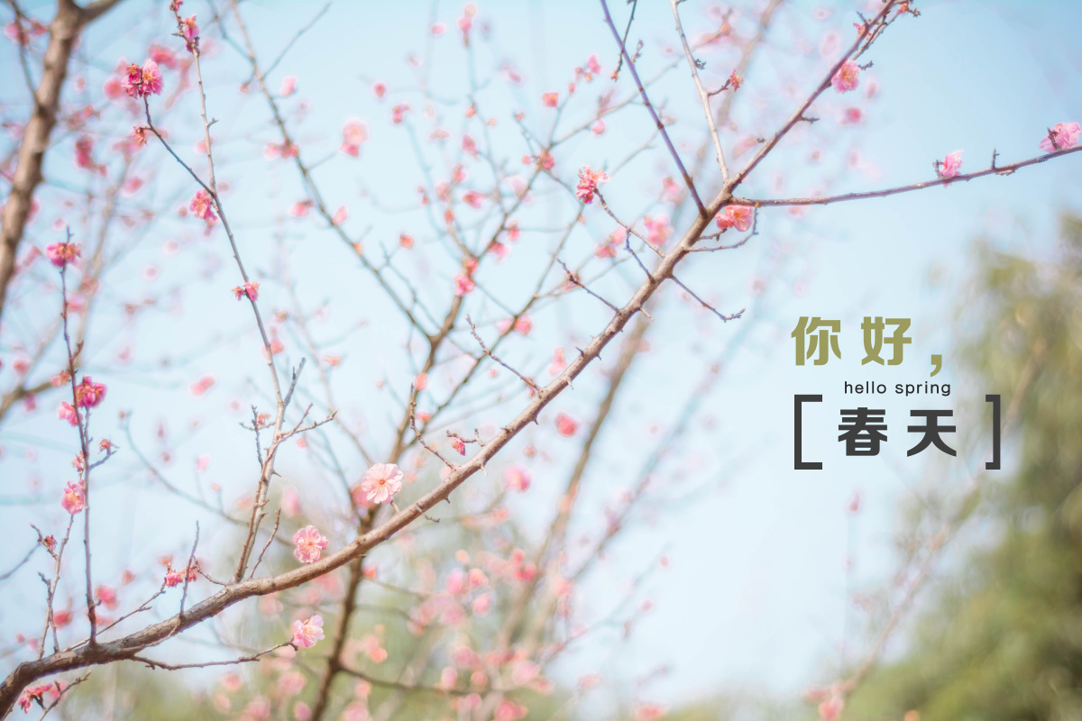 你好春天