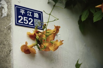 250669