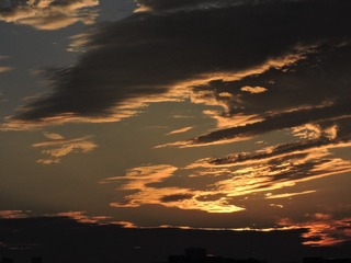 53EE0F95-7957-4B2D-8A6C-63CDD401BCBD/L0/001