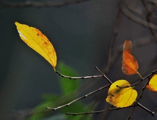 72B7B165-C9A8-440D-B7C1-A2F4F1CC3352/L0/001