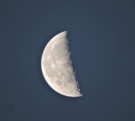 718382F8-6222-4B0D-B5D6-E03287270713/L0/001