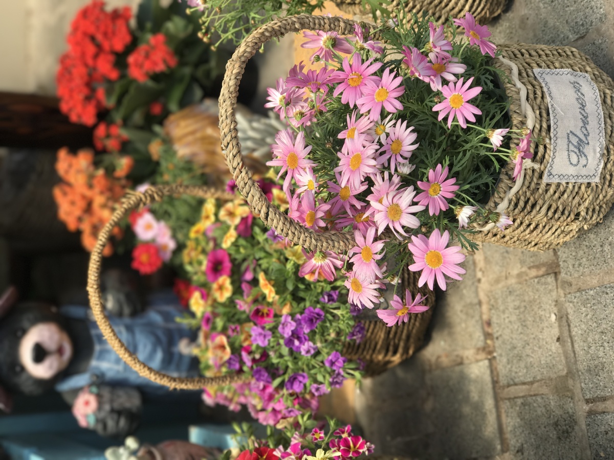 粉色小雏菊鲜花花篮