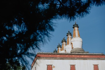 DSC05250