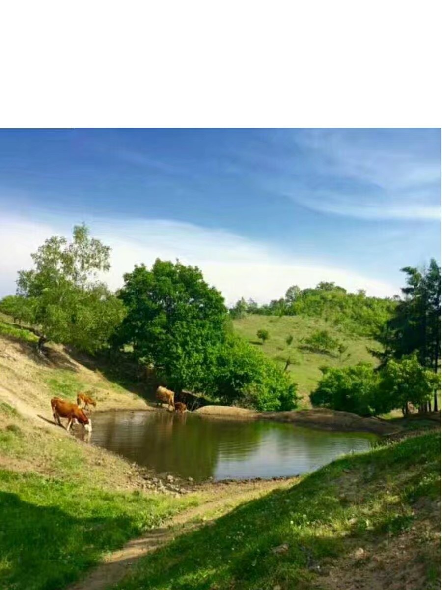 明年底前国企10%股权划转社保基金 至9月底已完成8601亿元