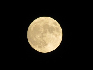 78CE94D2-300E-463C-A946-F26B33A39F8F/L0/001