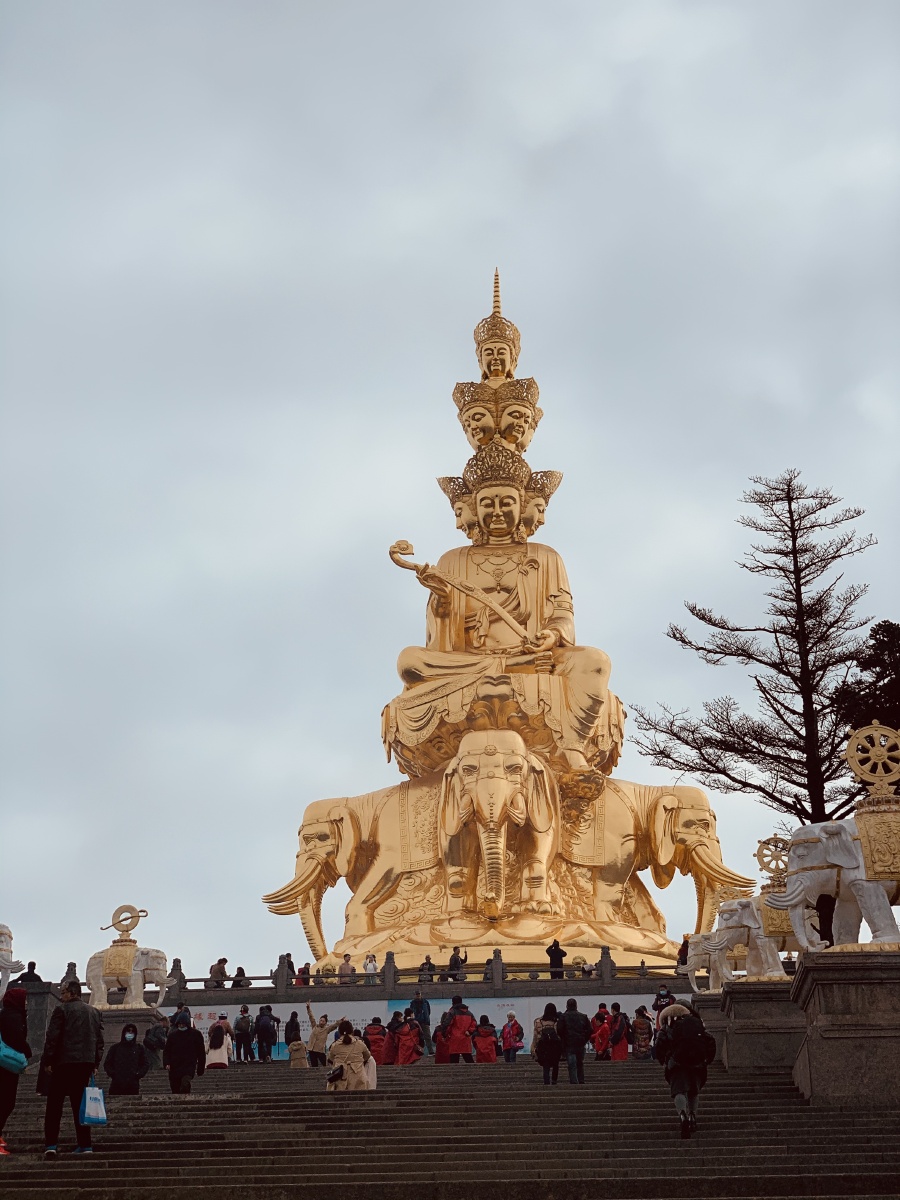 乐山大佛峨眉山金顶峨眉山猴群