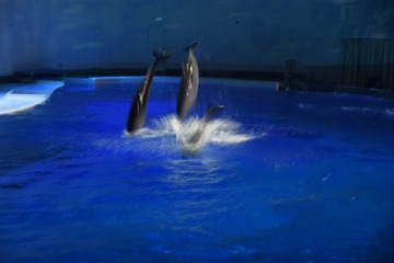 6F2916C1-D43B-4BA8-AD94-8908E320DA65/L0/001