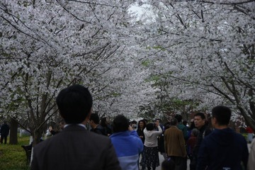 55D2B2E6-5F1E-4CB0-82F0-2A55E3C58127/L0/001