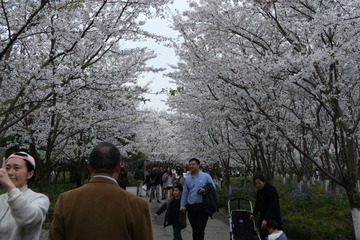 3E0D36FF-6EBF-4EA5-9A2E-831F427C2B50/L0/001