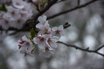 24226710-C897-4199-A734-E1DA2FC295AC/L0/001