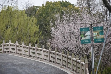E780CE09-212B-46F0-9002-40D464D42F65/L0/001