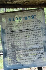 641798BB-FE2F-4279-AF6F-2BFEB4873529/L0/001