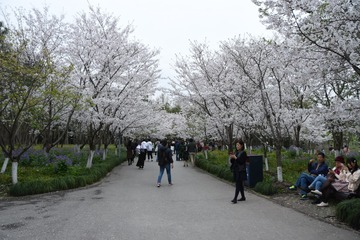 0FD48414-5FD0-46AC-8F48-1AA18BF05A1A/L0/001