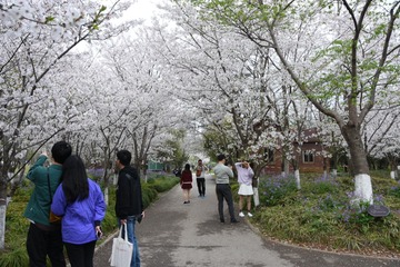 4D70003E-2D39-4CE9-AD45-44D382FC7A95/L0/001
