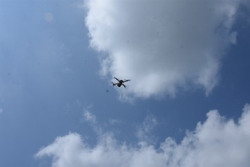 4CEB077E-982A-4DFF-982E-846B9AE3E473/L0/001