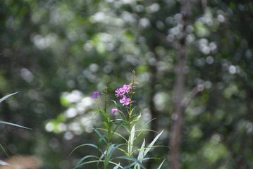 08EECEFB-E64D-4572-B72D-675066539BAF/L0/001