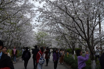 2A111ABF-7B7F-4F30-8E6C-C174A1F3879F/L0/001