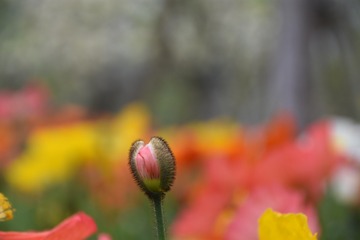 3F43778E-2DA4-4D30-BB29-4D545B510FBE/L0/001