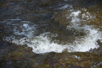 78689C57-361B-4DF3-A16A-27E970561A3F/L0/001