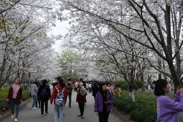 509759D8-BD12-4481-B346-B9F3919C5007/L0/001