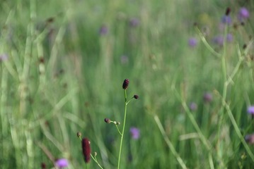 59AF7517-C3F8-4019-A5D4-6F511CD51B82/L0/001
