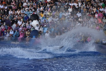 E2DE5EB5-08B8-42B3-A5FA-2C34D01667CB/L0/001