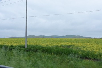 1671299D-6BA4-43EC-A488-46A87A7C0761/L0/001