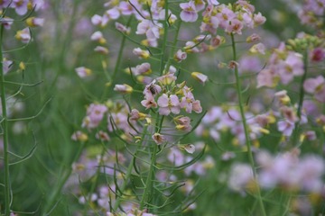 97A8C53D-8AE3-4DD9-81F7-A004D844FDFC/L0/001