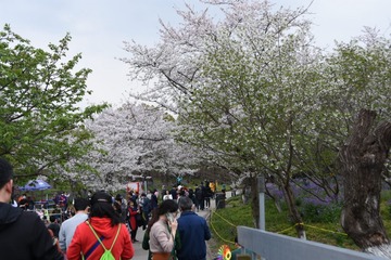 A48006F5-32DD-4434-AE9B-C61E7A3FAC1A/L0/001