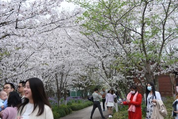 9FE7B305-E457-4CF6-AB8E-D313EF27EC09/L0/001
