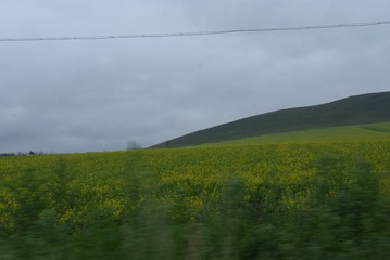 81A1A337-5B08-4D87-93EA-CDEACF47F7B9/L0/001