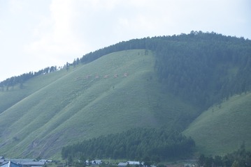 BE77F25D-340A-4C9E-915E-62CFA9E77BFB/L0/001