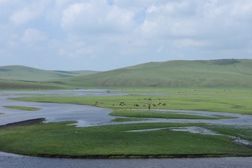 F79F8072-A406-45EA-8020-9AB66317F126/L0/001