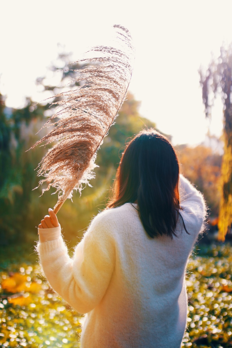 芦苇美女夕阳