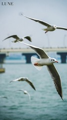 2B324087-FD77-42A1-A2B6-20EE601FB8F9/L0/001