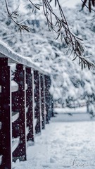 427F06FD-1085-4FCE-848E-26B0D7698613/L0/001