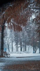 8DDF0465-94FC-4F7E-96DF-6875D24670E6/L0/001