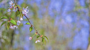 A56F8110-0837-435C-BF28-C2844E207B04/L0/001
