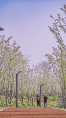 9580E97B-D7FA-49B4-949D-4B4048A1A53E/L0/001