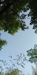 479873
