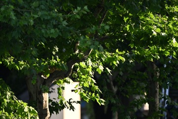 E5E67220-17FC-4C5F-9C82-FA37F5734081/L0/001