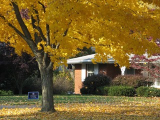 Pennsalvania Avenue, 2008 Fall