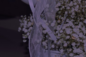 D983179C-A34B-4AC6-8466-DBDB5F3B926C/L0/001