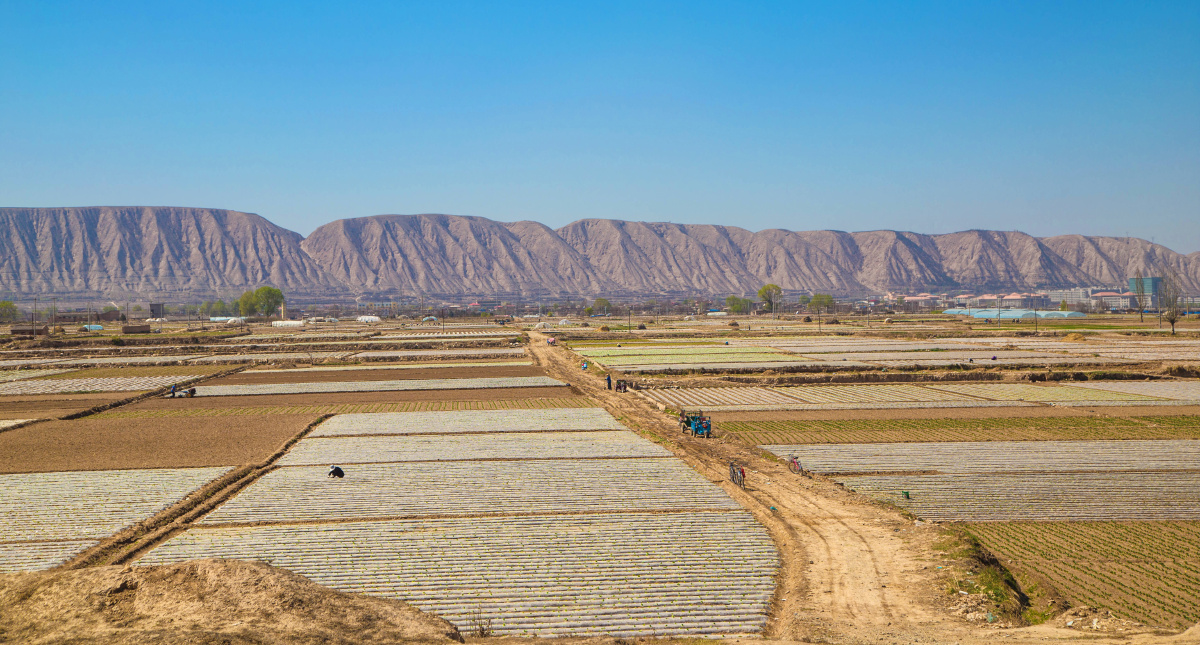 西北特色的农田hardrock关注
