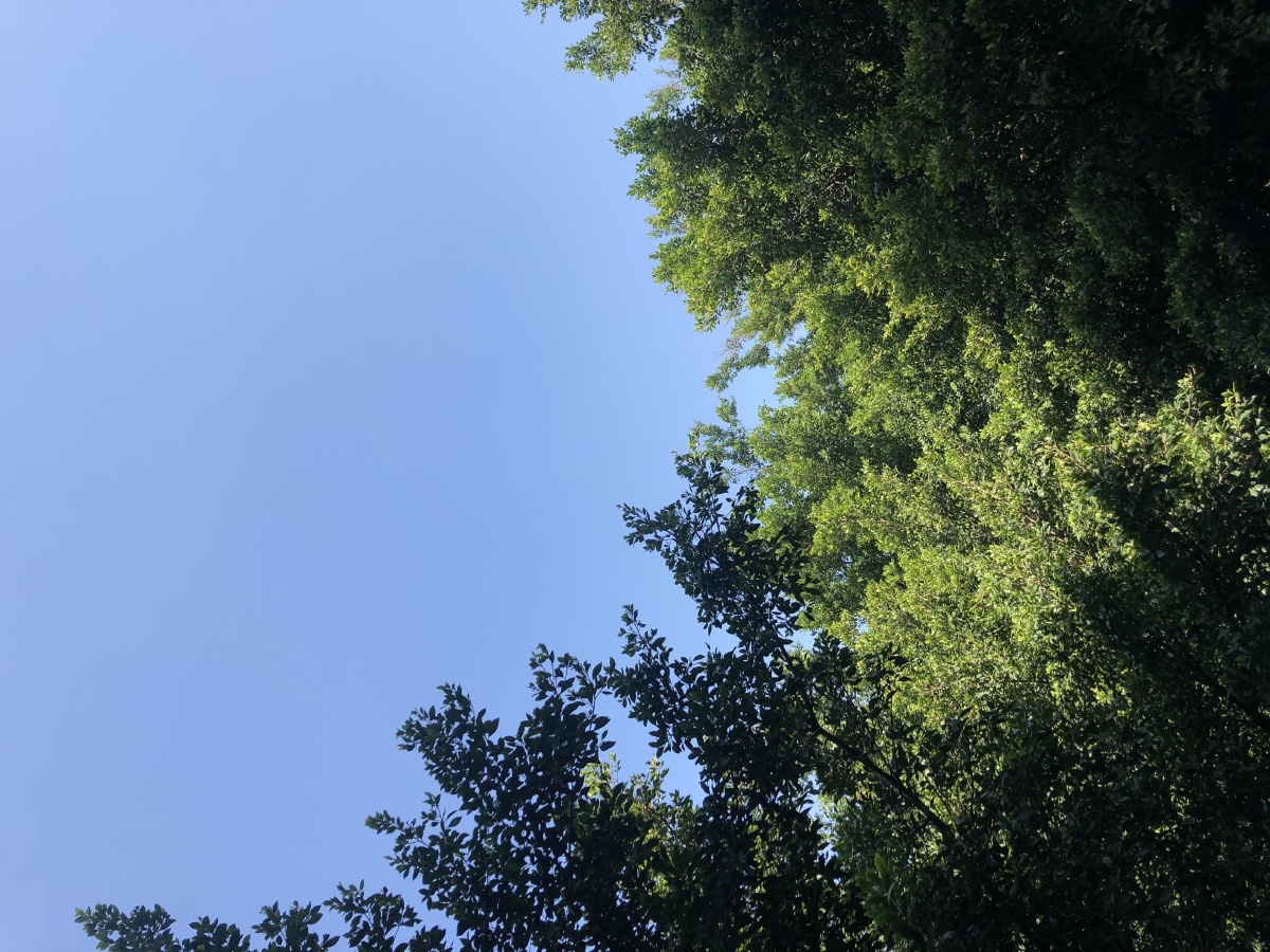 晴空万里 无云